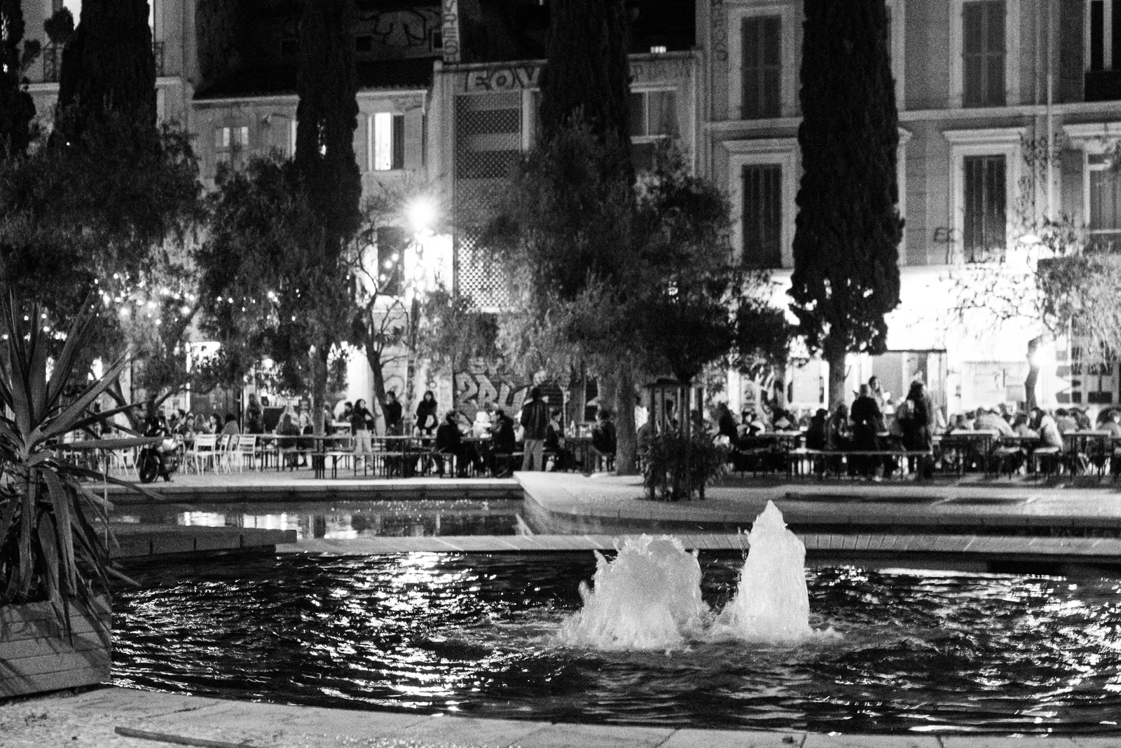 Black & White — 002
