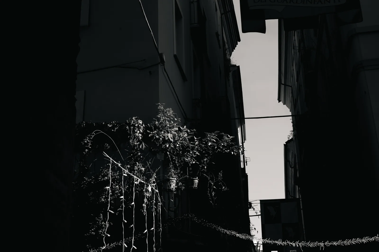 Black & White — 004
