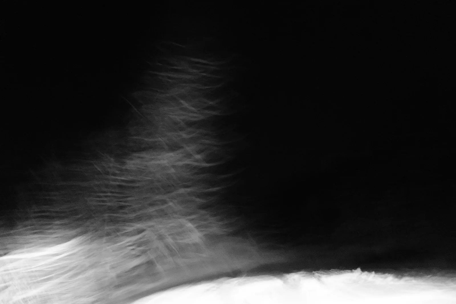 Black & White — 006
