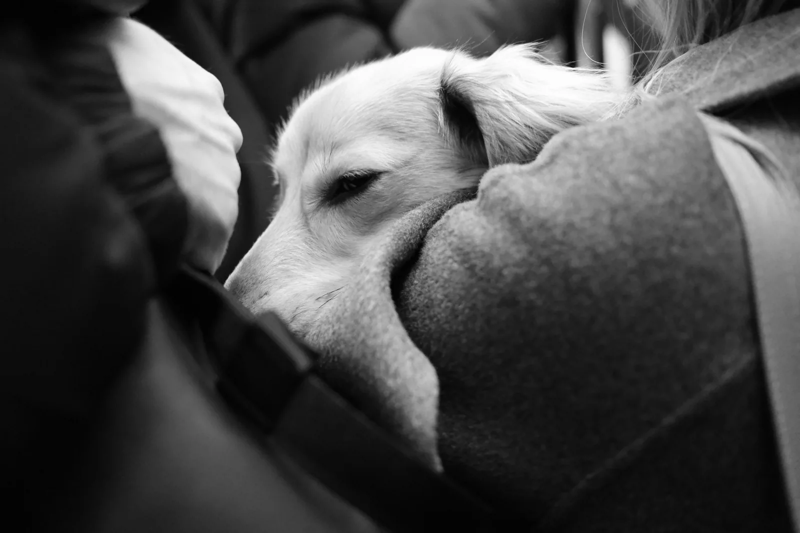 Black & White — 018