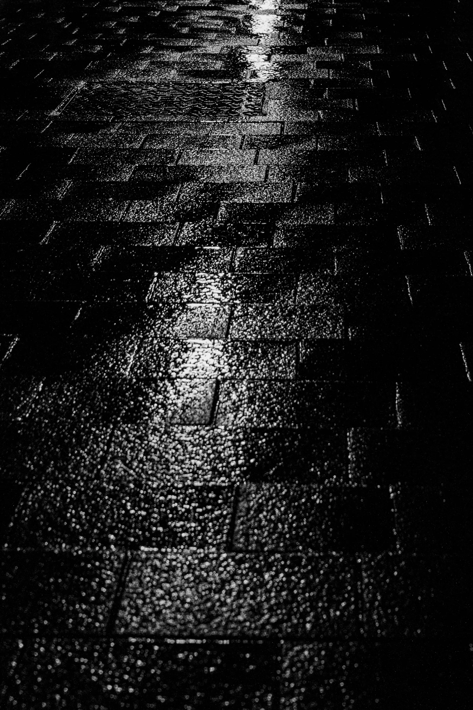 Black & White — 028