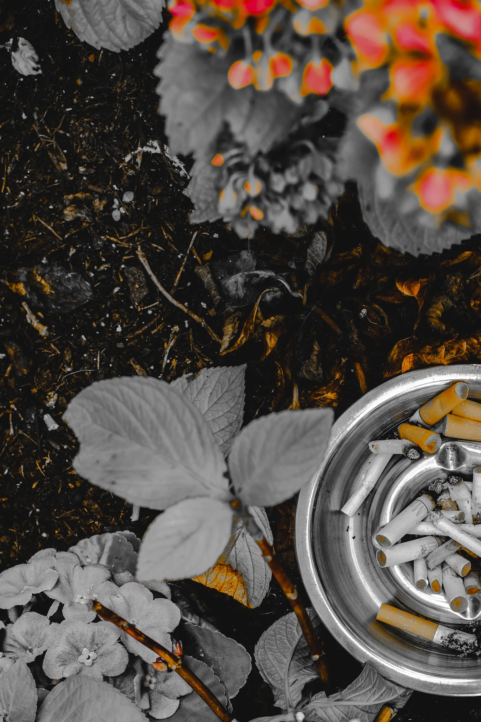 Colours / Street — 022